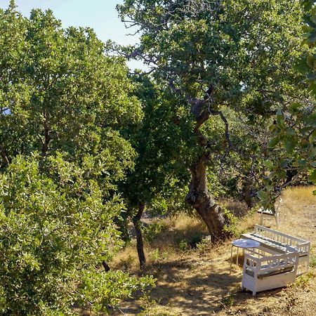 My Old Stone House In A 2 000 Sqm Private Garden With Fab Glamping Tent Mandraki  Luaran gambar